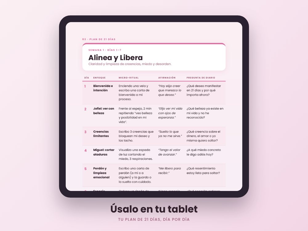 Las 6 áreas de tu vision board y diario de manifestación.